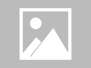 3D商务视觉盛宴，从现在到未来，3D动态壁纸的创新成就